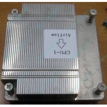 Радиатор CPU CX2WM для Dell PowerEdge C1100 CN-0CX2WM CPU Cooling Heatsink (Прокопьевск)
