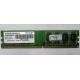 Модуль оперативной памяти 4Gb DDR2 Patriot PSD24G8002 pc-6400 (800MHz)  (Прокопьевск)