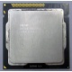 Процессор Intel Celeron G530 (2x2.4GHz /L3 2048kb) SR05H s.1155 (Прокопьевск)