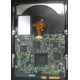 Электроника жёсткого диска 146Gb HP 481653-002 DF146BAFDU (Прокопьевск)