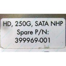 HP 250G 7.2k 432337-001/ 399699-001 / 397377-004 SATA HDD (Прокопьевск)