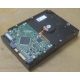 Жесткий диск HP 250Gb 7200 rpm 432337-001/ 399699-001 / 397377-004 (Прокопьевск)