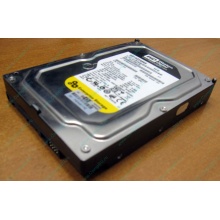 Жесткий диск 160Gb WD WD1602ABKS SATA (Прокопьевск)