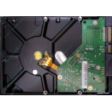 Б/У жёсткий диск 1Tb Western Digital WD10EVVS Green (WD AV-GP 1000 GB) 5400 rpm SATA (Прокопьевск)