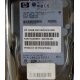 Жёсткий диск 146.8Gb HP 365695-008 404708-001 BD14689BB9 256716-B22 MAW3147NC 10000 rpm Ultra320 Wide SCSI купить в Прокопьевске, цена (Прокопьевск).