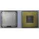 Процессор Intel Celeron D 336 (2.8GHz /256kb /533MHz) SL98W s.775 (Прокопьевск)
