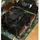 Intel A46002-003 (Прокопьевск)