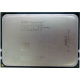 AMD Opteron 6128 OS6128WKT8EGO (Прокопьевск)