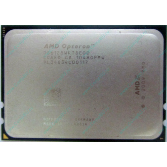 AMD Opteron 6128 OS6128WKT8EGO (Прокопьевск)