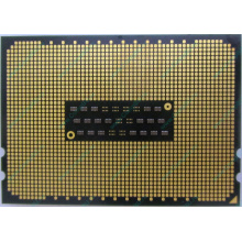 AMD Opteron 6128 OS6128WKT8EGO (Прокопьевск)