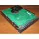 Жесткий диск 300Gb 15k Seagate Cheetach ST3300656SS 15K.6 Dell 9CH066-050 6G SAS (Прокопьевск)