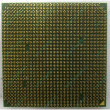 Процессор AMD Sempron 3000+ (1.6GHz) SDA3000IAA3CN s.AM2 (Прокопьевск)